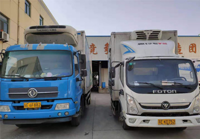 嘉兴冷链专线